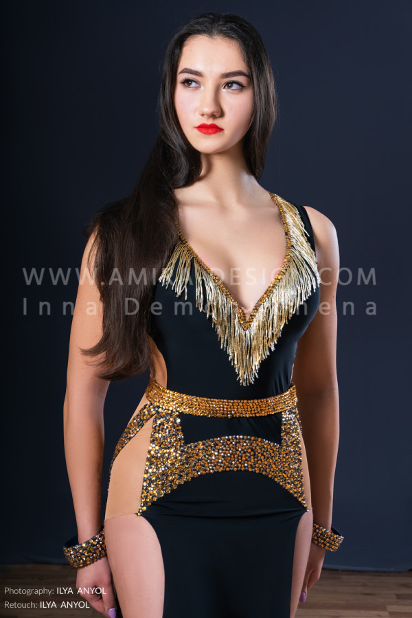 Professional bellydance costume (classic 173a)